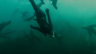 Śmiertelna głębia (2012) [Lektor PL] - Dark Tide