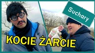KOCIE ŻARCIE - Suchary #171