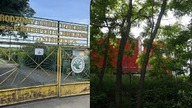 Działkowcy złożyli petycje w sprawie budowy ekranów akustycznych.  Borykają się z hałasem od drogi