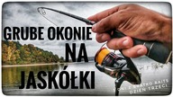 GRUBE OKONIE NA JASKÓŁKI // 3 dni z @Bratkobaits // cześć 3