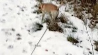 Typer Skoków Narciarskich z SK na Mistrzostwa Świata w Lotach Narciarskich! Oberstdorf, Niemcy!