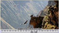 Paul Simon & Art Garfunkel : El Condor Pasa, El Condor Pasa (If I Could 1970) Karaoke