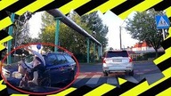Potrącenie rowerzystki  polskiedrogiPLUS