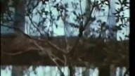 Pray for Death (1985) - trailer