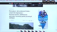Poncyljusz - jak uratować Kraba