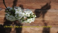 Choroba, jako dźwignia rozwoju człowieka.  Fragmenty książki Siergieja Łazariewa Bumerang.