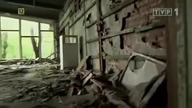 Czarnobyl  triumf natury