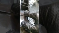co tu było palone?
