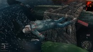 S. T. A. L. K. E. R.  GAMMA #39 / Solidne przygotowania przed Agropromem / Szukanie Strieloka / główne