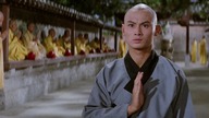 36 komnata Shaolin / Shao Lin san shi liu fang (1978) Lektor PL