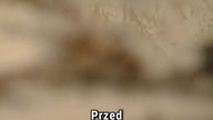 1670  błoto było prawdziwe? #1670 #netflix #ciekawostki