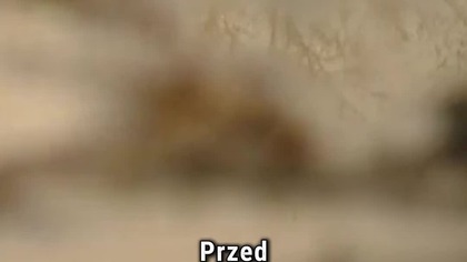 1670  błoto było prawdziwe? #1670 #netflix #ciekawostki