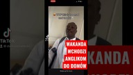 WAKANDA WCHODZI ANGLIKOM DO DOMÓW! #shorts #imigranci (SUBSKRYBUJ!)