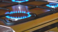 Gas Burner