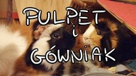 Pulpet i Gówniak (autorska piosenka ukulele)