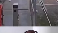 Przykłady Bożej ochrony i osłony
