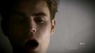 Damon & Stefan-Monster