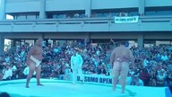 Tak się wygrywa walkę w sumo!