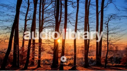 Acoustic Folk Instrumental - Hyde - Free Instrumentals