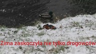 Zima zaskoczyła nie tylko drogowc&oacute;w
