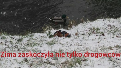 Zima zaskoczyła nie tylko drogowc&oacute;w