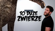 TO DUŻE ZWIERZĘ | Poszukiwacz 514