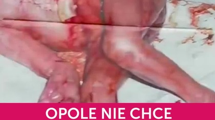 OPOLE NIE CHCE GIZELI JAGIELSKIEJ! NIE CHCEMY BYĆ NOWYM CENTRUM ABORCJI! (1920p 30fps H264-128kbit AAC-polski)