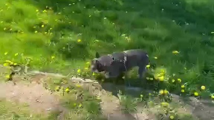 Dzień gorącego lata.