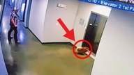 SMYCZ UTKNĘŁA w WINDZIE, potem stało się coś NIESAMOWITEGO