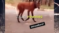 Skinwalker | Potwory z Miejskich Legend cz. 17