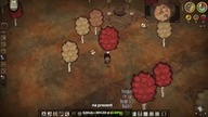  DEBIL W DEBILNYM ŚwieciE - Dont Starve Together !! 