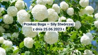 Polska się rozleci ziemia, rozsypie i oflaguje inaczej, niż dotychczas to było w Polsce