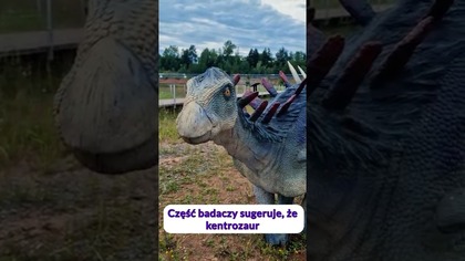 Kolczyste barki kentrozaura! #dinozaury