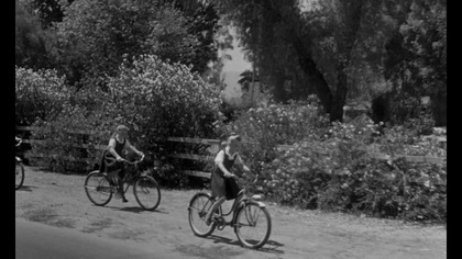Niewiniątka (1961)
