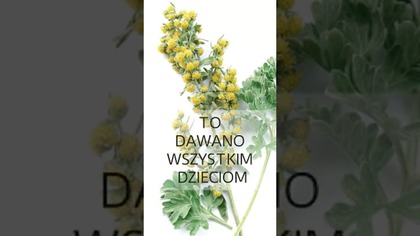 TO DAWANO WSZYSTKIM DZIECIOM W ZSRR W PIERWSZY DZIEŃ SZKOŁY