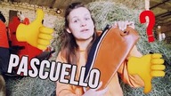 Recenzja sztybletów i czapsów PASCUELLO /w Psiutek