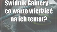 Świdnik: Gainery  co warto wiedzieć na ich temat?