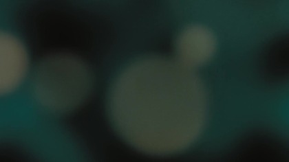 Najpierw strzelaj potem zwiedzaj (2008)