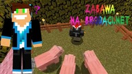 Zabawa ze świnkami Verteza! - Brodaci.net