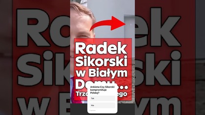 Ankieta: Czy Sikorski kompromituje Polskę?