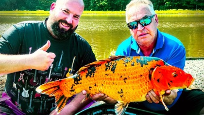 Jazda bez trzymanki, branie za braniem i zwroty akcji jak w holiwoodzkiej produkcji. Ryby bardzo chciały współpracować w tym dniu. Na zmianę na wędkach meldowały się karpie, jesiotry i leszcze. Różne gatunki karpi bo królewskie i koi a jesiotry syberyjskie i rosyjskie. Zapraszam na typowy film wędkarski. Jak się spodoba zostaw łapkę w górę za co z góry dziękuję. Do zobaczenia nad wodą. Ryby, ryby, ryby.

Zacznij wspierać ten kanał, a dostaniesz te bonusy:
https://www.youtube.com/channel/UC4vbIUN4U2loFSTIZyYBuug/join

Znajdziesz mnie:
 Facebook: http://www.facebook.com/wedkowanie
 Grupa Obóz Łowcy:  https://www.facebook.com/groups/lowca
 Tiktok: https://www.tiktok.com/@lowcalucio
 Instagram: https://www.instagram.com/wedkowanie/
 YouTube: http://www.youtube.com/wedkowanie
 Kontakt na stronie https://wedkarstwo.lucio.pl/

Wędkarstwo Lucio to nieszablonowe filmy wędkarskie z wypraw nad wodę. Ciężko doszukać się tu nadęcia, ustawianych brań i sztuczności charakterystycznych dla programów telewizyjnych. Od 2010 roku zrzesza w serwisie YouTube największą w Polsce społeczność pasjonatów wędkarstwa. Filmy są darmowe i publikowane co najmniej raz w tygodniu. Powstają podczas spontanicznych wypraw na ryby Łukasza Żółtego założyciela Wędkarstwo Lucio i jego znajomych. Jest to dokument ukazujący jak pięknym sportem i hobby jest wędkarstwo. Raz w roku organizowane są ogólnopolskie 2-u dniowe zawody wędkarskie o Puchar Wędkarstwo Lucio, w których zawodnikami są widzowie z całej Polski.

od 2021r. - obecnie, udział w programie Jedziemy na ryby emitowanym w Polsat Play i Super Polsat, od 2024 w Canal+
2020r. po 10 latach kanał przekracza 100 tys. subskrypcji
2018r. pierwszy Puchar Mini Łowca dla dzieci
2017r. powstaje koło wędkarskie Łowca
2016r. top 10 najchętniej oglądanych kanałów na Polskim YouTube w kategorii sport wg. Sotrender, nieprzerwanie od 2015 roku
2015r. srebrna odznaka PZW za zasługi dla wędkarstwa polskiego, powstaje sklep wędkarski Łowca
2014r. wyróżnienie Planete+ dla najbardziej inspirującego vlogera
2013r. finał Blog roku organizowanego przez Onet.
2010r. nieprzerwanie lider filmów wędkarskich na Polskim YouTube