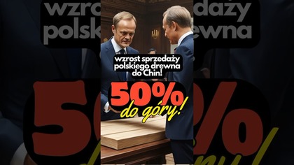 GRUBO! Za Tuska o 50% wzrósł eksport polskiego drewna do Chin! #LasyPaństwowe #DariuszMatecki