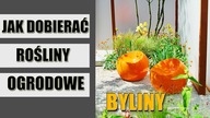 Zakładanie ogrodu.  Jak dobierać, komponować BYLINY ?