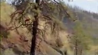 DownhillDual