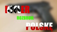 Czy Hitler rozbroił Polskę?