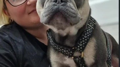 f44d7314-c562-403c-9680-bfd39397ee0f