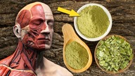 Ta roślina ocali ludzkość! Dowiedz się więcej o świętej roślinie z Indii! - Moringa