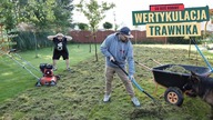 Wertykulacja trawnika.  Naprawa trawnika przed zimą.