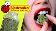 Zjadł słoik ZIOŁA w Biedronce | Zostań CHOMIKIEM | WeedWeek #42,5