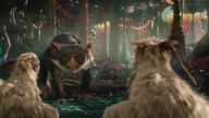 Alien. Worlds. S01E03.pl. 720p. NF. WEB-DL. DD5. 1. XviD-H3Q